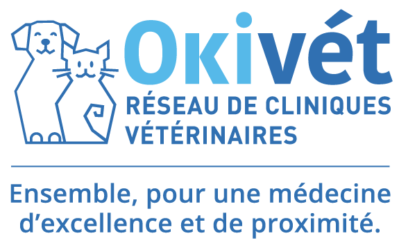 Okivét, Réseau de cliniques vétérinaires