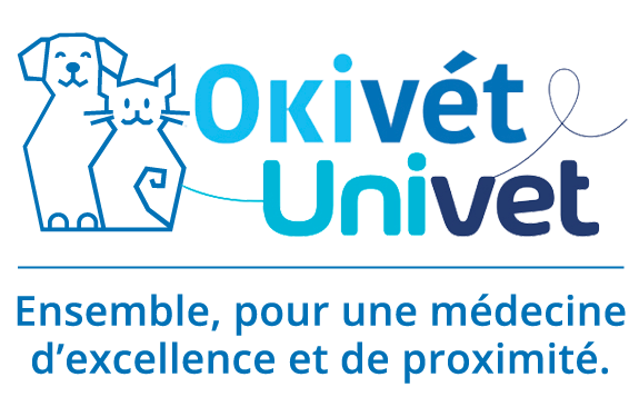 Okivét et Univet, Réseau de cliniques vétérinaires